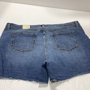 Universal Thread Boyfriend Shorts Size 26W Vintage Stretch Distressed NWT
